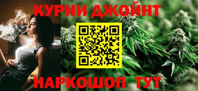 гашик Бийск