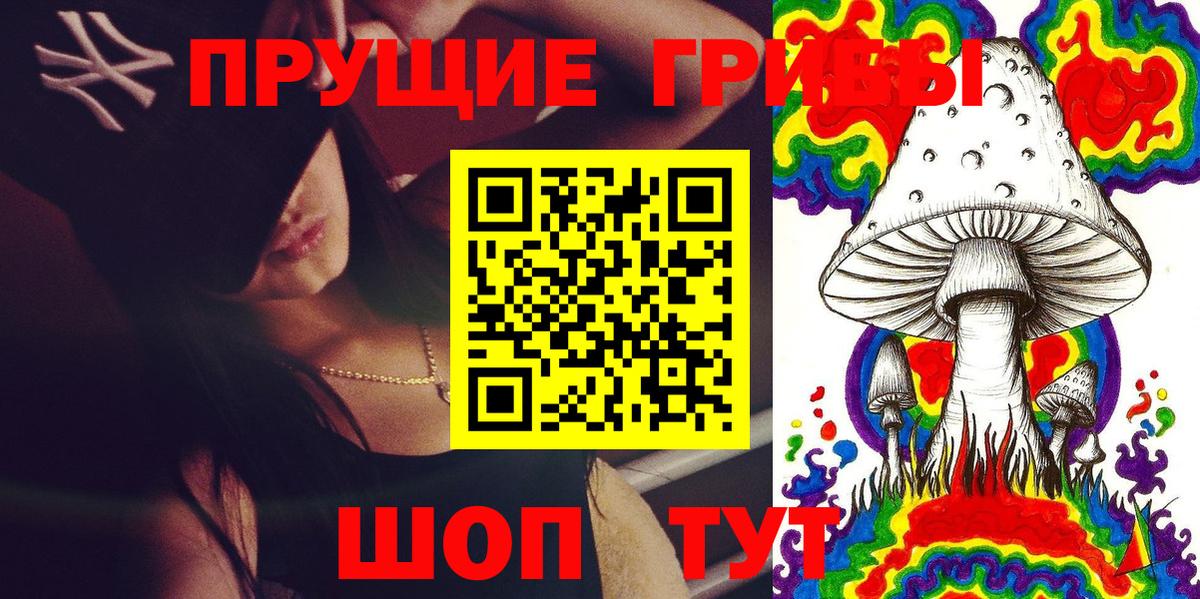 Псилоцибиновые грибы Psilocybe Домодедово