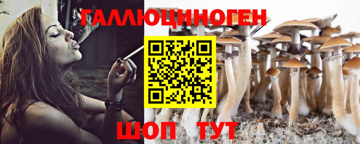 Галлюциногенные грибы GOLDEN TEACHER Домодедово