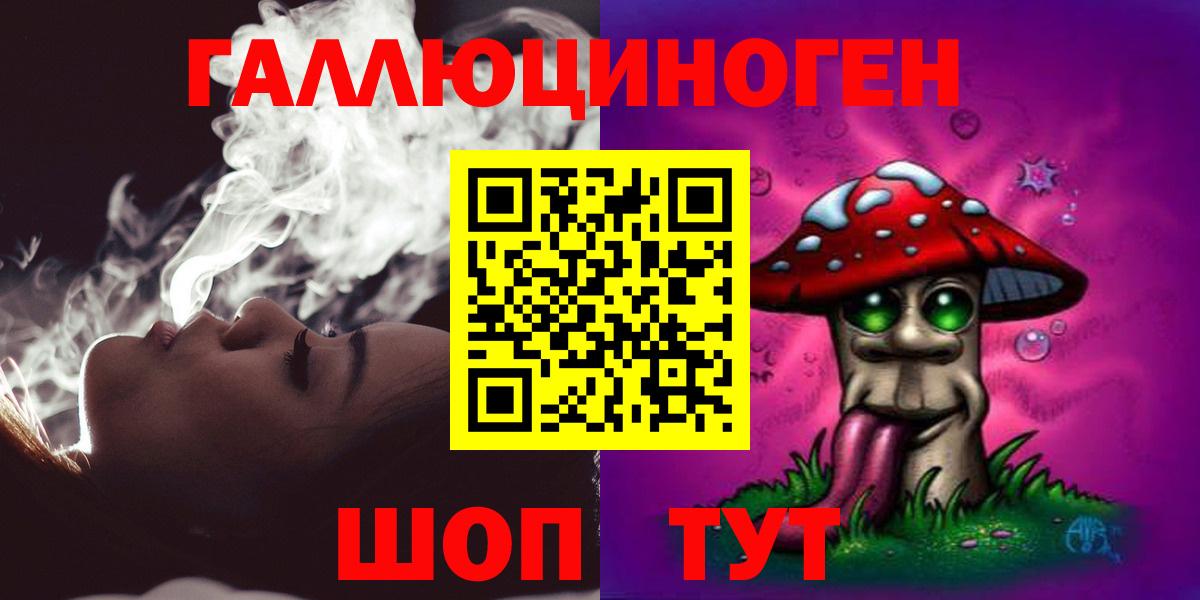Псилоцибиновые грибы Psilocybe  Домодедово  Галлюциногенные грибы MAGIC MUSHROOMS 